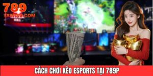 cách chơi kèo esports